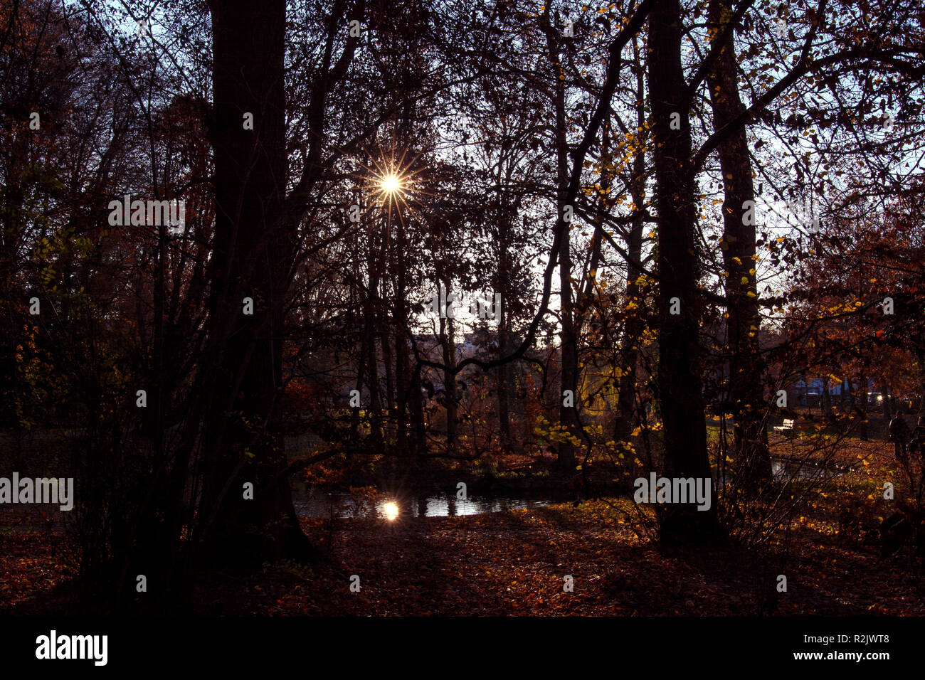 DE - Baden-Württemberg: ein Spaziergang durch den Park Stockfoto