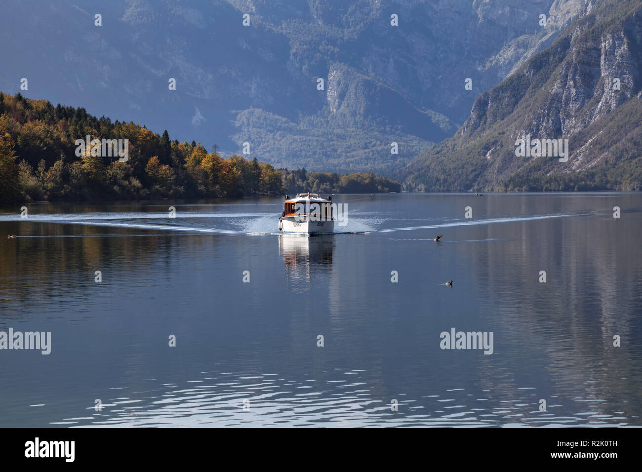 Boot auf dem See Bohinj in Slowenien Stockfoto