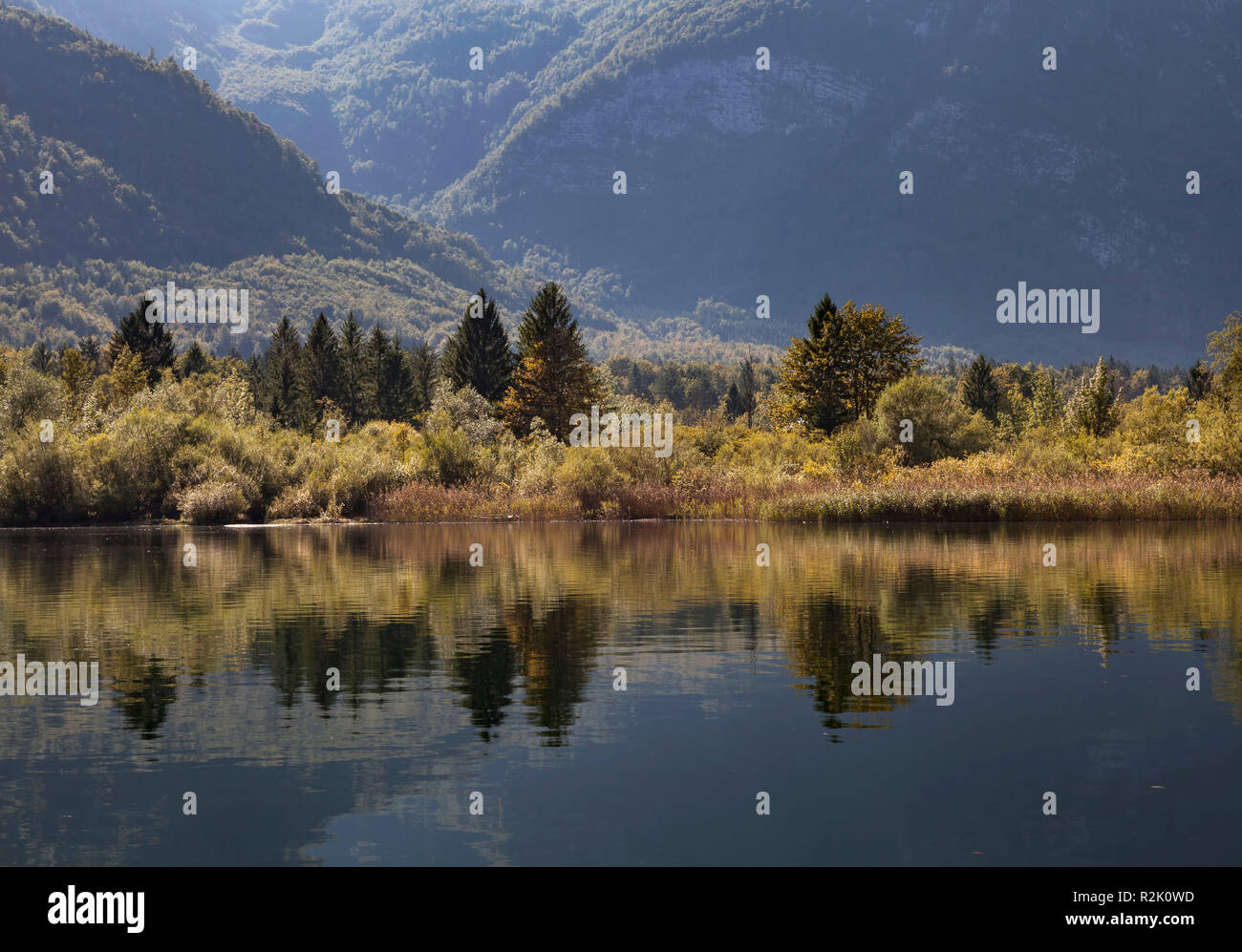 Landschaft am See Bohinj in Slowenien Stockfoto
