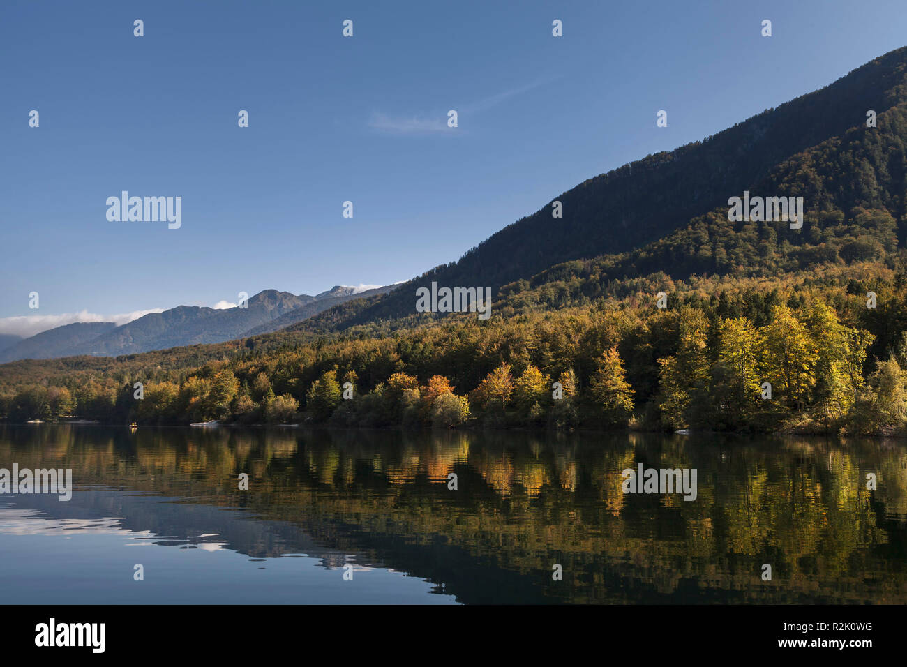 Landschaft am See Bohinj in Slowenien Stockfoto