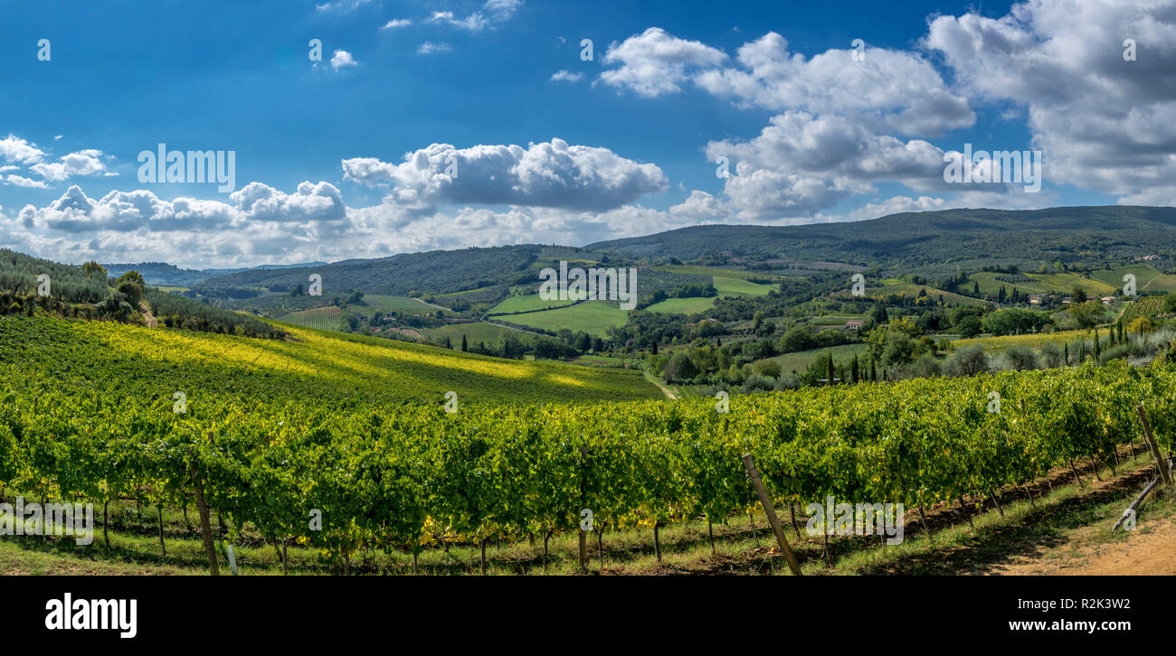 Landschaft und die Weinberge in der Toskana, Italien Stockfoto