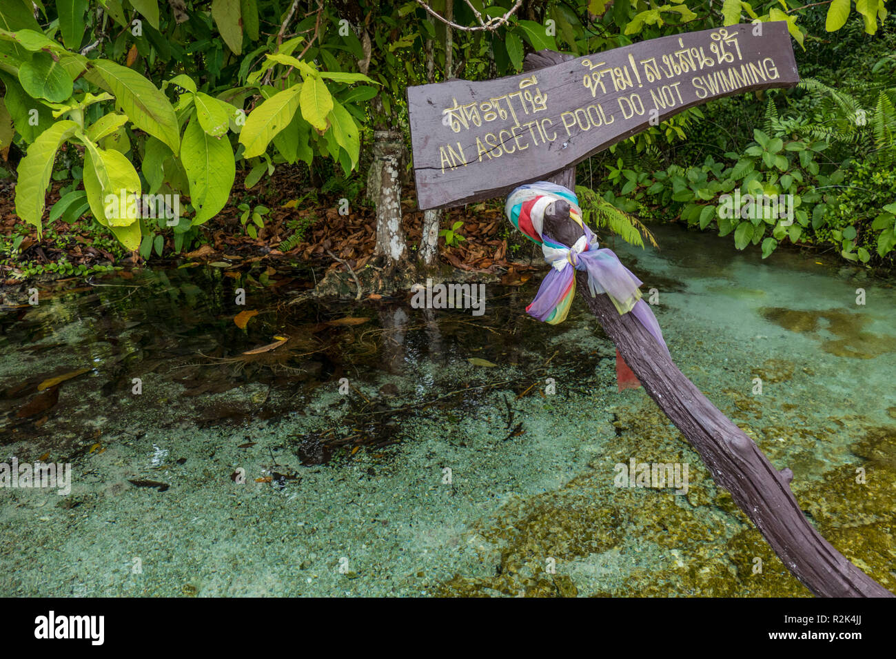 Krabi, Wildlife Sanctuary, Sa Morakot, Thailand Stockfoto