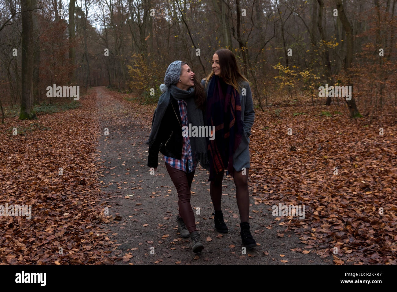 Freundinnen, glücklich, Wald, Herbst gehen, Stockfoto