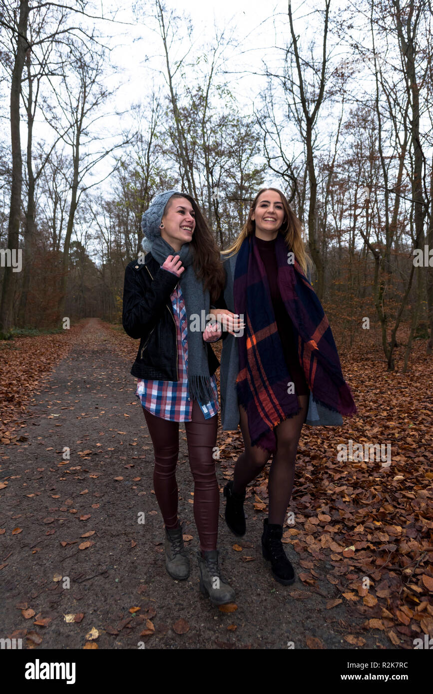 Freundinnen, glücklich, Wald, Herbst gehen, Stockfoto