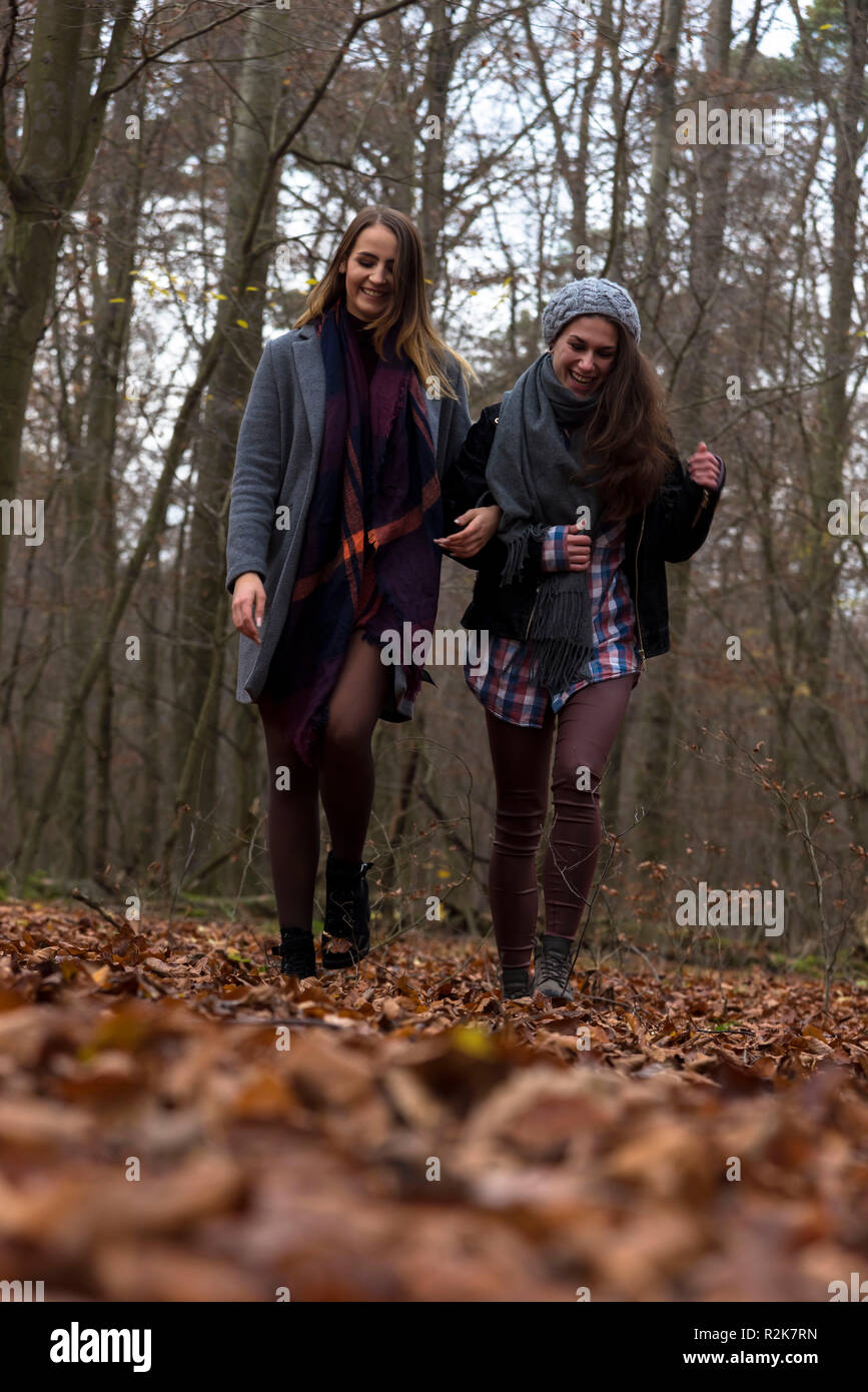 Freundinnen, glücklich, Wald, Herbst gehen, Stockfoto