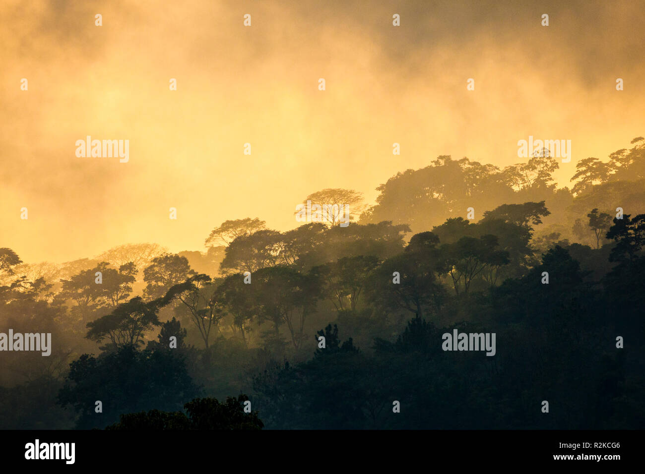 Nebel legt sich bei Sonnenuntergang in den Bergen außerhalb Tapachula, Chiapas, Mexiko. Stockfoto