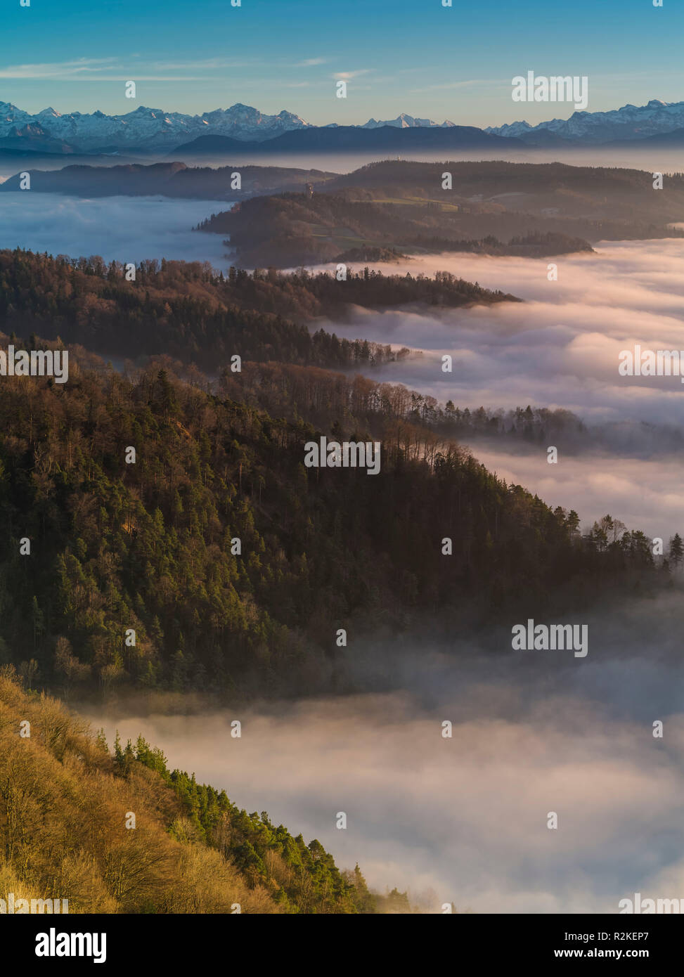Herbst hohe Nebel Stimmung auf dem Uetliberg bei Zürich Stockfoto