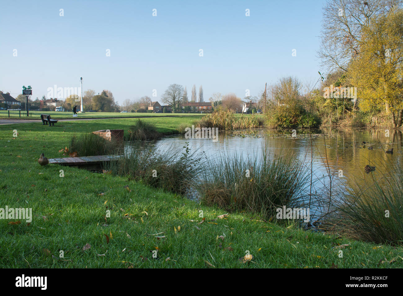 Das Dorf Teich in Wood Street Village in Surrey, UK, im späten Herbst, mit dem Dorfplatz, unterschreiben und Maibaum im Hintergrund Stockfoto