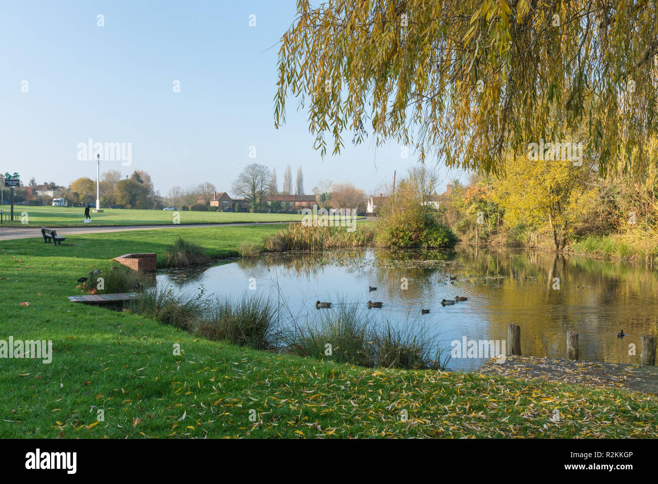 Das Dorf Teich in Wood Street Village in Surrey, UK, im späten Herbst, mit dem Dorfplatz, unterschreiben und Maibaum im Hintergrund Stockfoto