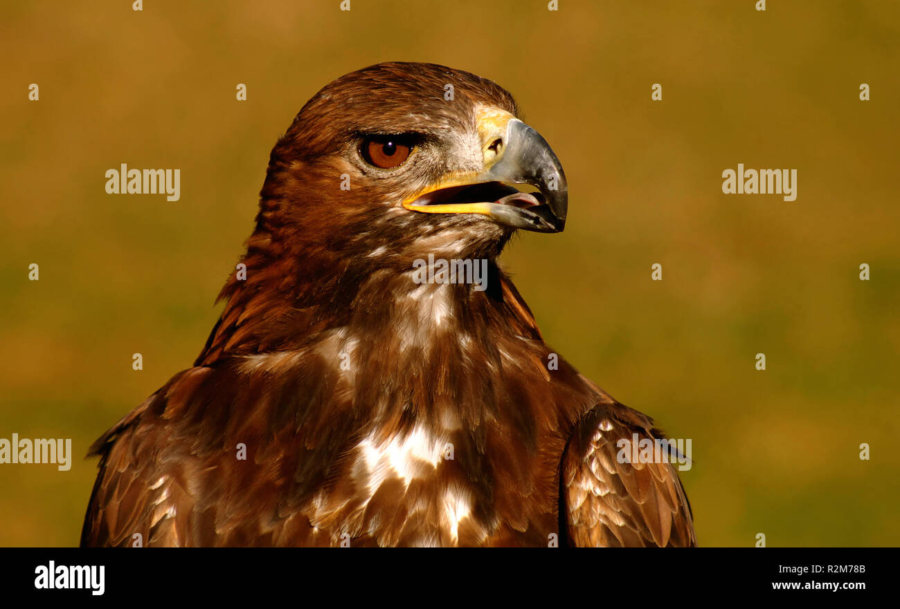 Ende des Arbeitstages Stockfoto