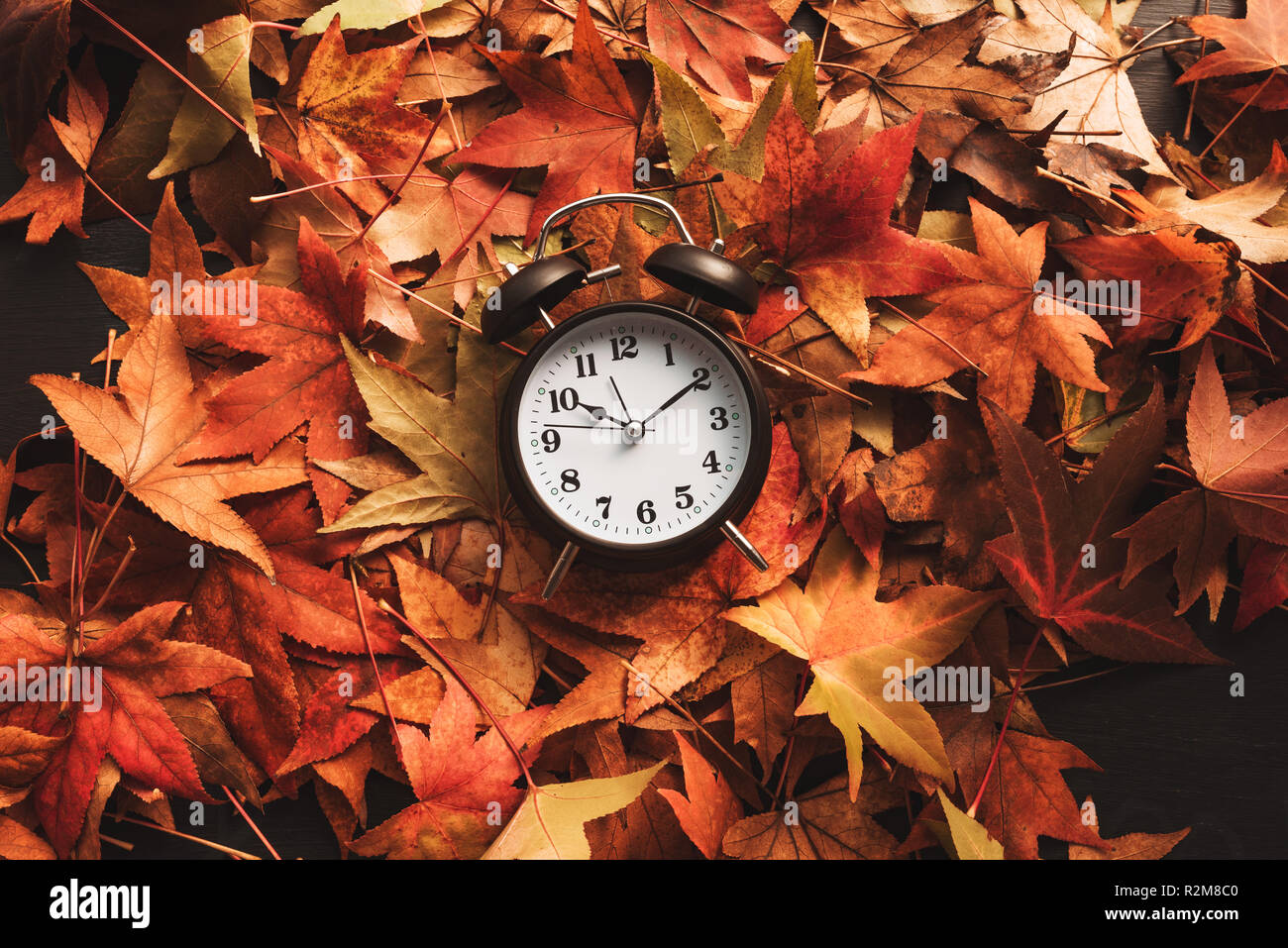 Herbst Zeit, Retro Vintage Wecker in trockenen Herbstlaub - Sommerzeit Konzept Stockfoto