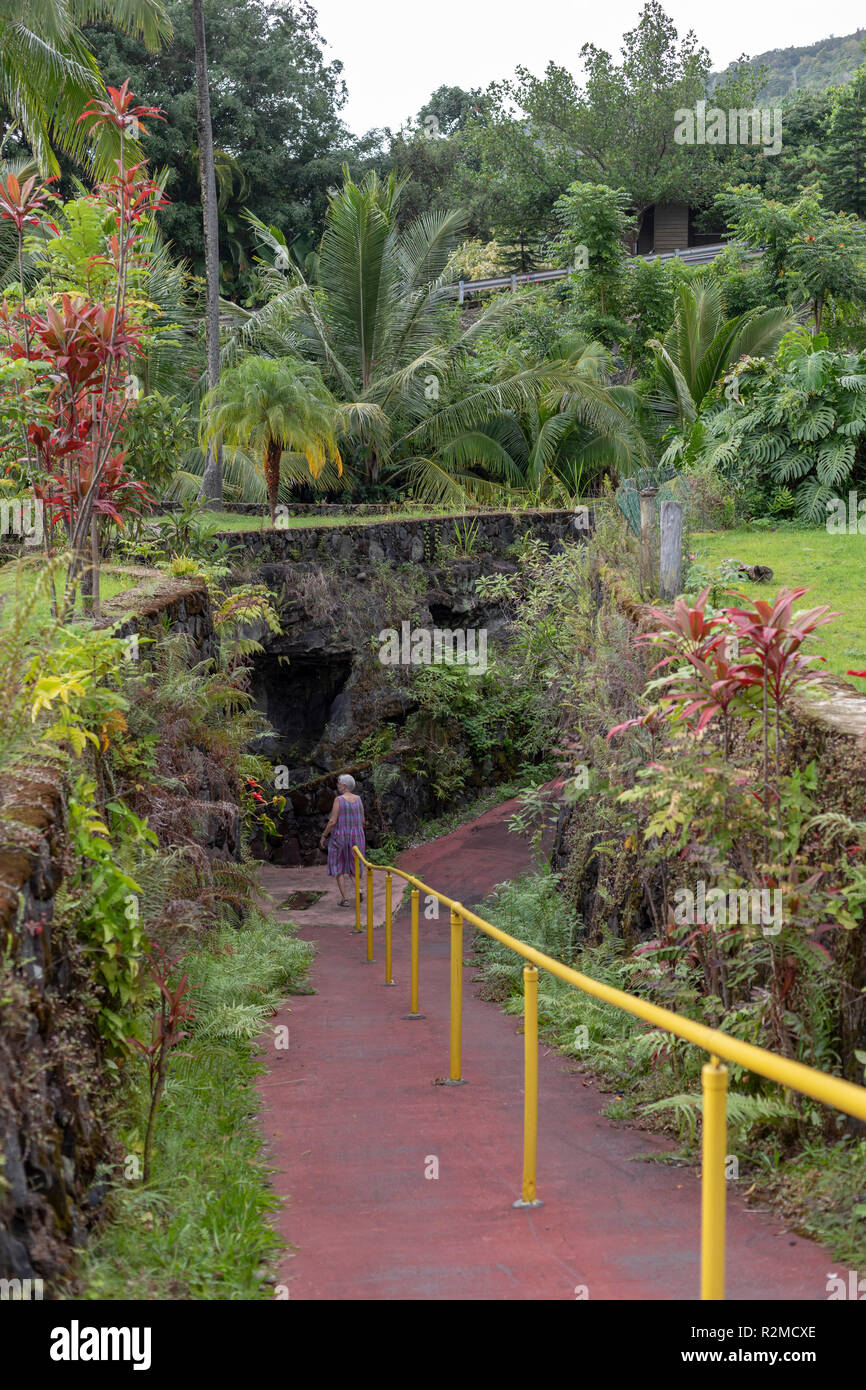 Captain Cook, Hawaii - der Eingang zu einem kleinen Lavaröhre auf dem Gelände des Royal Kona Coffee Company. Stockfoto