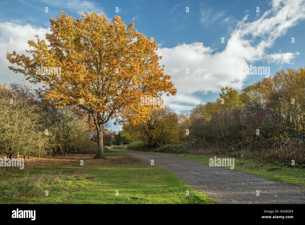 Irchester park Northamptonshire Vereinigtes Königreich Stockfoto