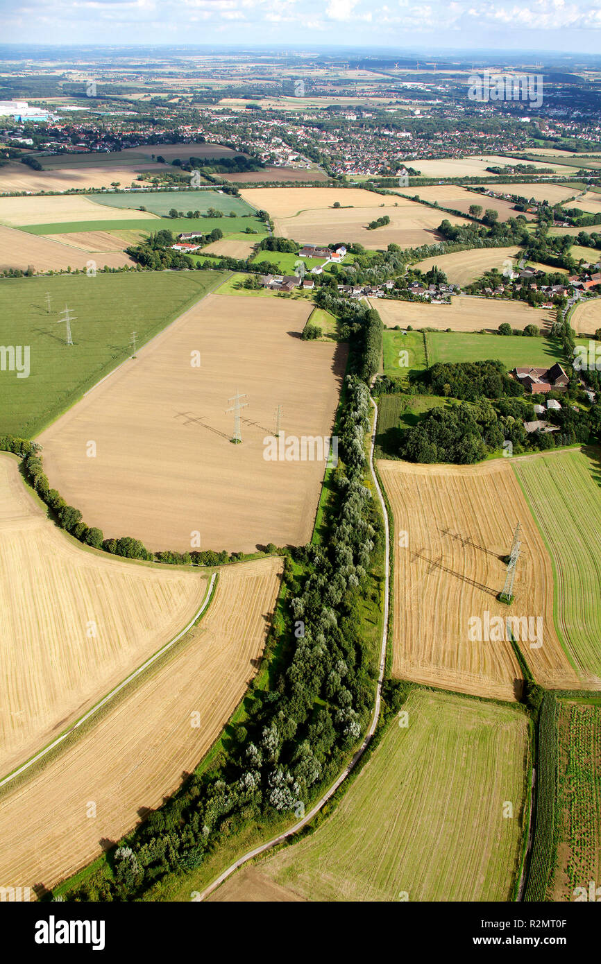 Luftaufnahme, Seseke, Kunst, Sichtungen von Stille, Tom Groll Allee 21, Pappeln, Massener Bach, Unna, Kamen, Ruhrgebiet, Nordrhein-Westfalen, Deutschland, Europa, Stockfoto