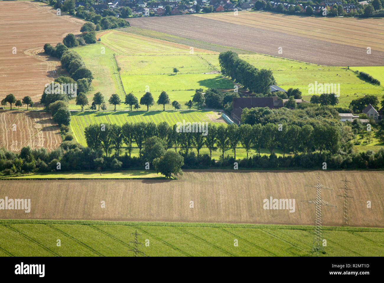 Luftaufnahme, Seseke, Kunst, Sichtungen von Stille, Tom Groll Allee 21, Pappeln, Massener Bach, Unna, Kamen, Ruhrgebiet, Nordrhein-Westfalen, Deutschland, Europa, Stockfoto