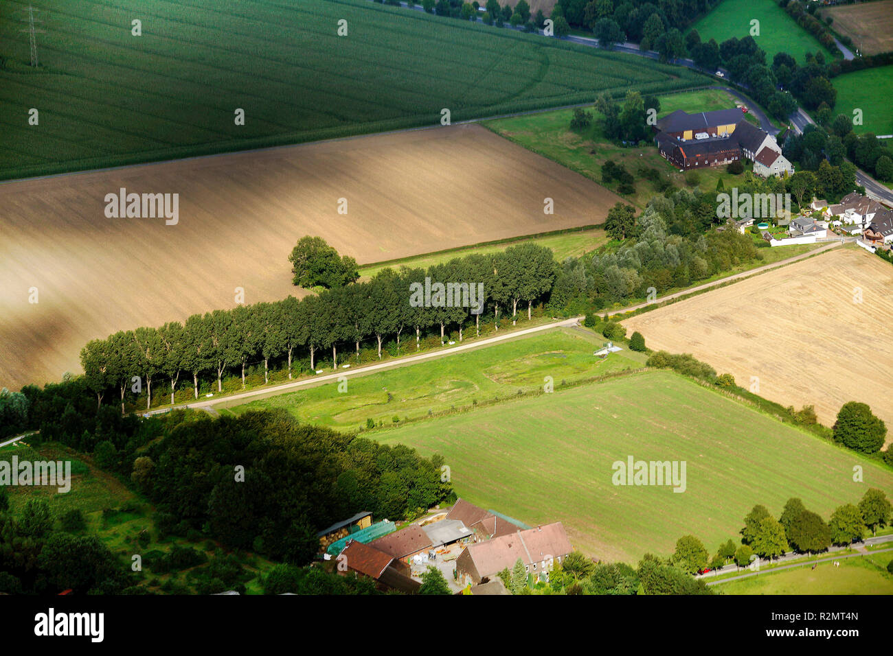 Luftaufnahme, Seseke, Kunst, Sichtungen von Stille, Tom Groll Allee 21, Pappeln, Massener Bach, Unna, Kamen, Ruhrgebiet, Nordrhein-Westfalen, Deutschland, Europa, Stockfoto