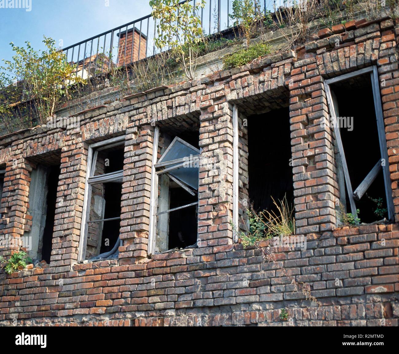 Völlig verfallenen ehemaligen Wohnhaus im Osten von Leipzig zu DDR-Zeiten, symptomatische Ruinen, bereit für den Abriss, die bereits mit Gräsern und Birken und über Remedy überwachsen Stockfoto