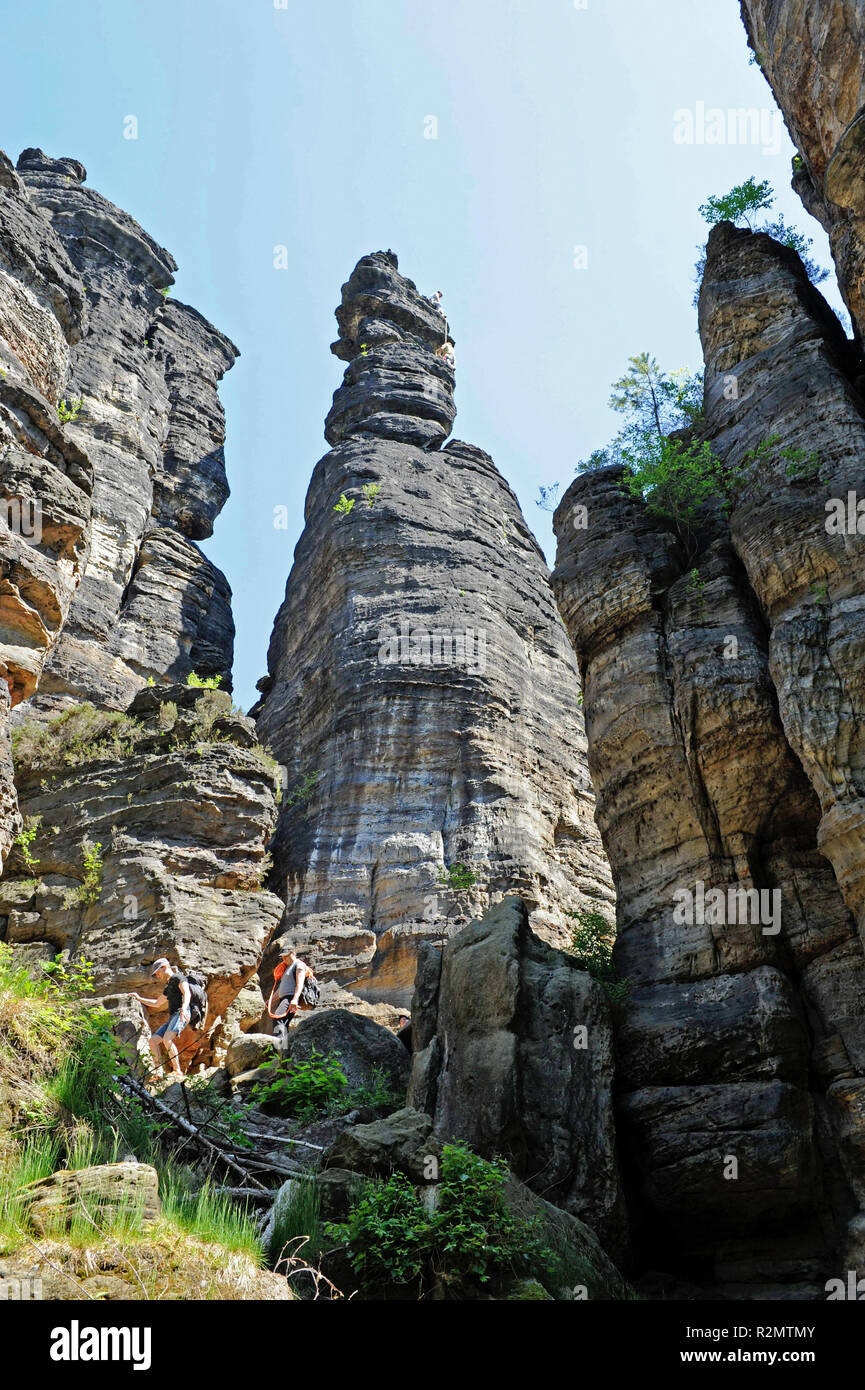 Die romantische Bielatal mit den bizarr aufragenden Kletterfelsen kleine und große Herkules Säulen ist eines der beliebtesten Ausflugsziele in der Sächsischen Schweiz. Stockfoto