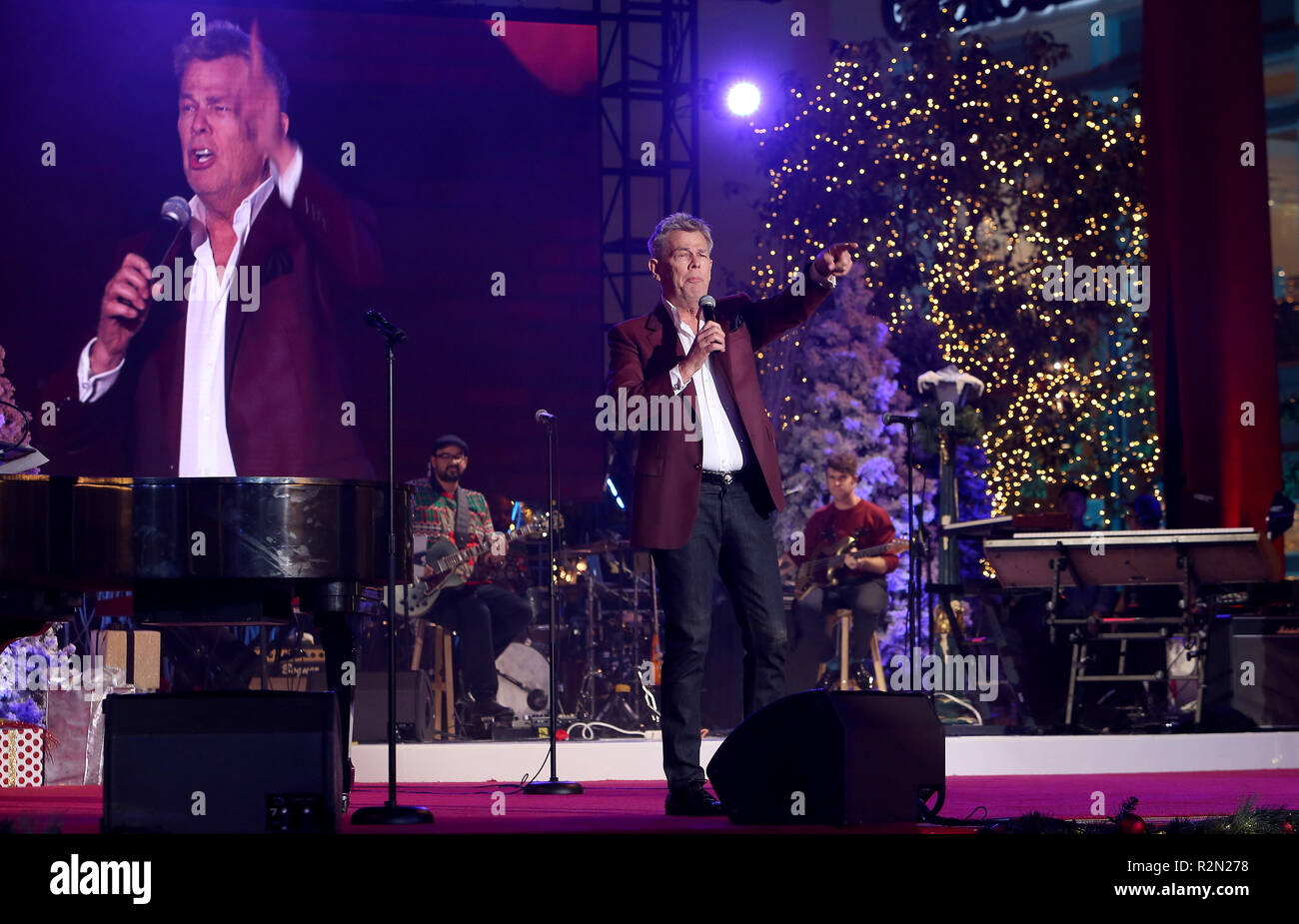 November 18, 2018 - Los Angeles, CA, USA - 18. November 2018 - Los Angeles, Kalifornien - David Foster. Die Waldung Weihnachtsbaum Beleuchtung. Photo Credit: F. Sadou/AdMedia (Credit Bild: © F. Sadou/AdMedia über ZUMA Draht) Stockfoto