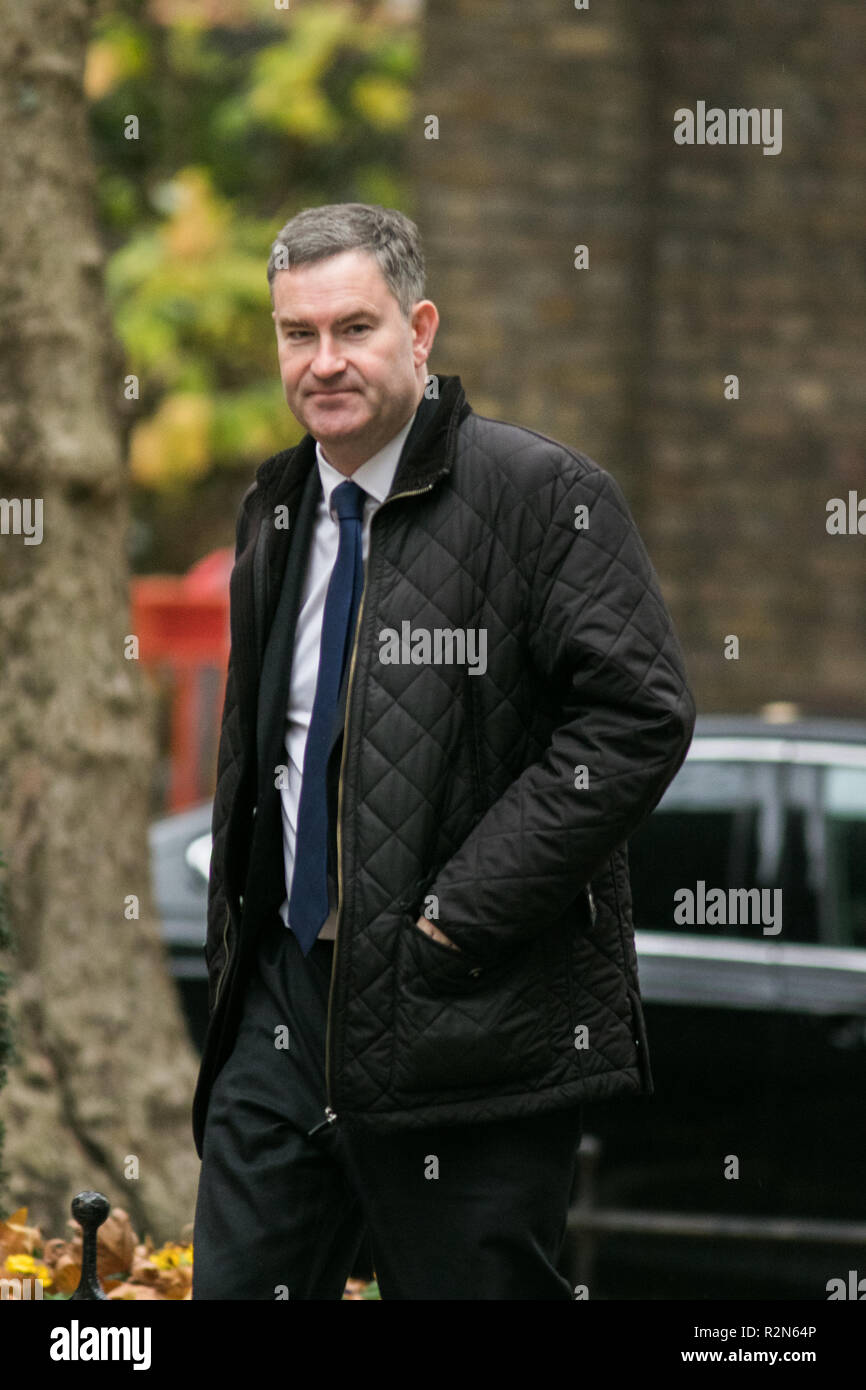 London, Großbritannien. 20 Nov, 2018. David Gauke MP Herrn Bundeskanzler und der Staatssekretär für Justiz kommt in der Downing Street Credit: Amer ghazzal/Alamy leben Nachrichten Stockfoto