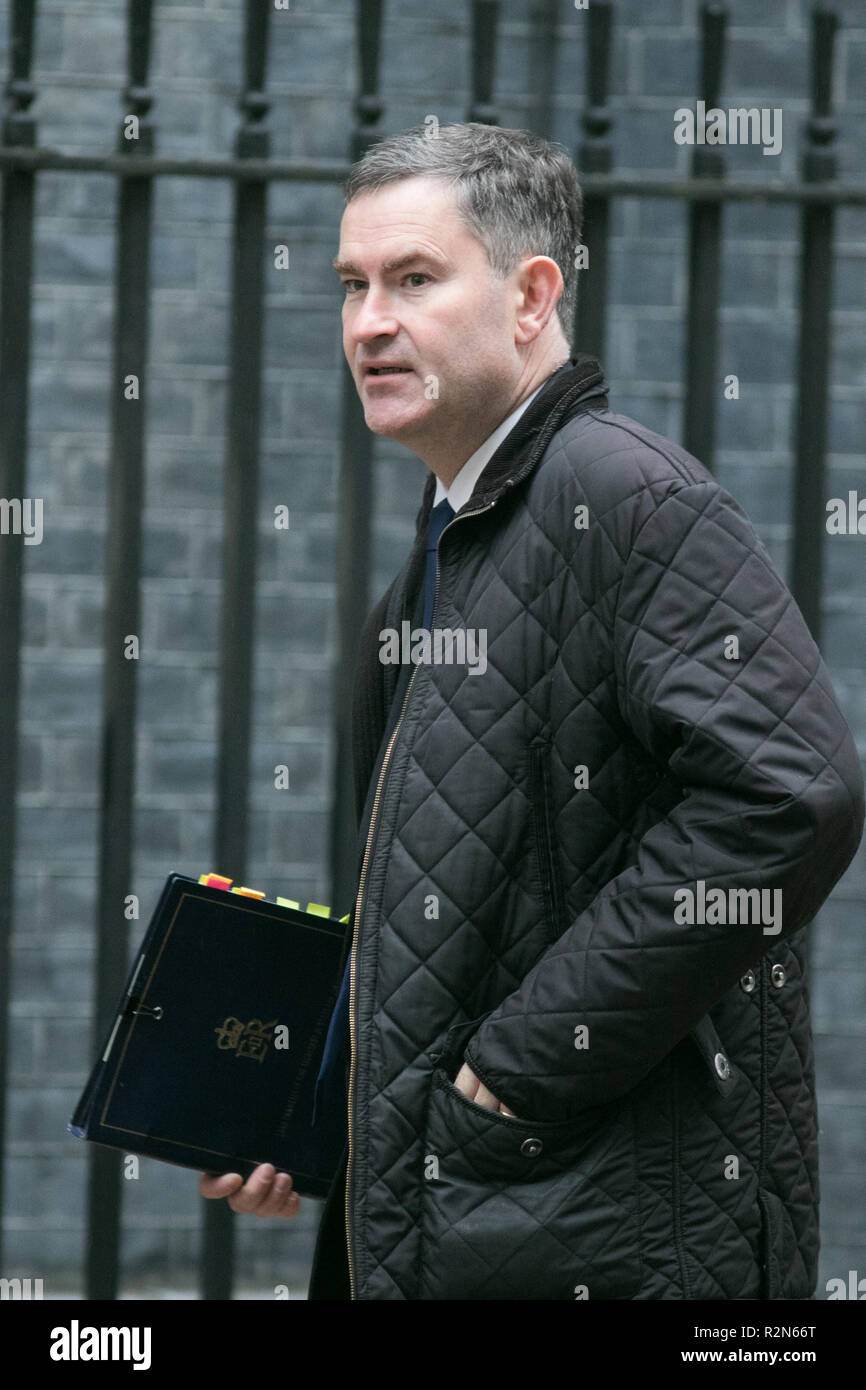 London, Großbritannien. 20 Nov, 2018. David Gauke MP Herrn Bundeskanzler und der Staatssekretär für Justiz kommt in der Downing Street Credit: Amer ghazzal/Alamy leben Nachrichten Stockfoto