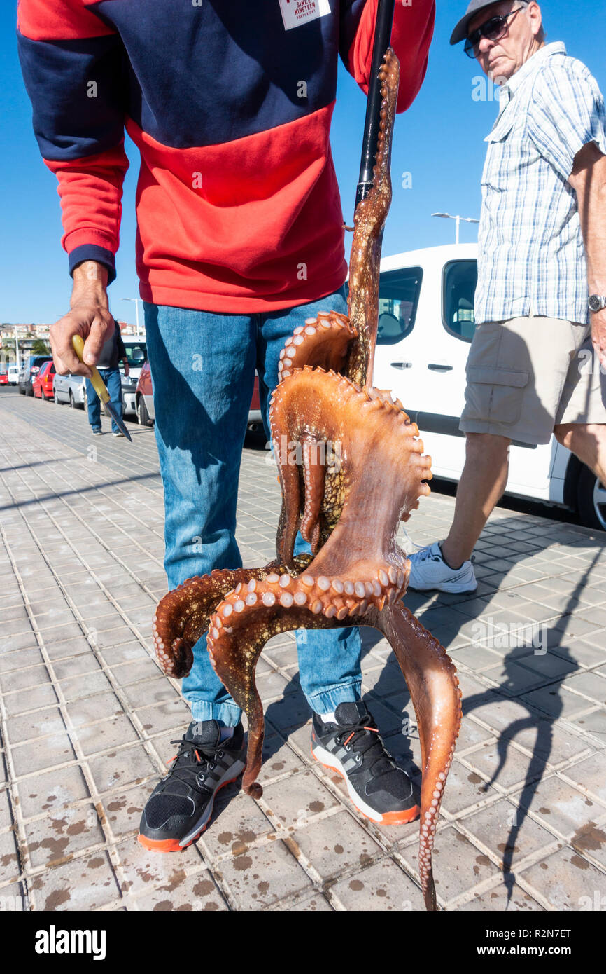 Las Palmas, Gran Canaria, Kanarische Inseln, Spanien. 20. November 2018. Wetter: Ein Tintenfisch Fischer nutzt die Vorteile der ruhigen Bedingungen nach einem Wochenende der riesigen Wellen, die die Kanarischen Inseln zerschlagen, was zu umfangreichen Schäden auf Teneriffa. Die lokalen Fischer fangen Octupus durch Sondierung zwischen Felsen mit einem Widerhaken. Credit: ALAN DAWSON/Alamy leben Nachrichten Stockfoto