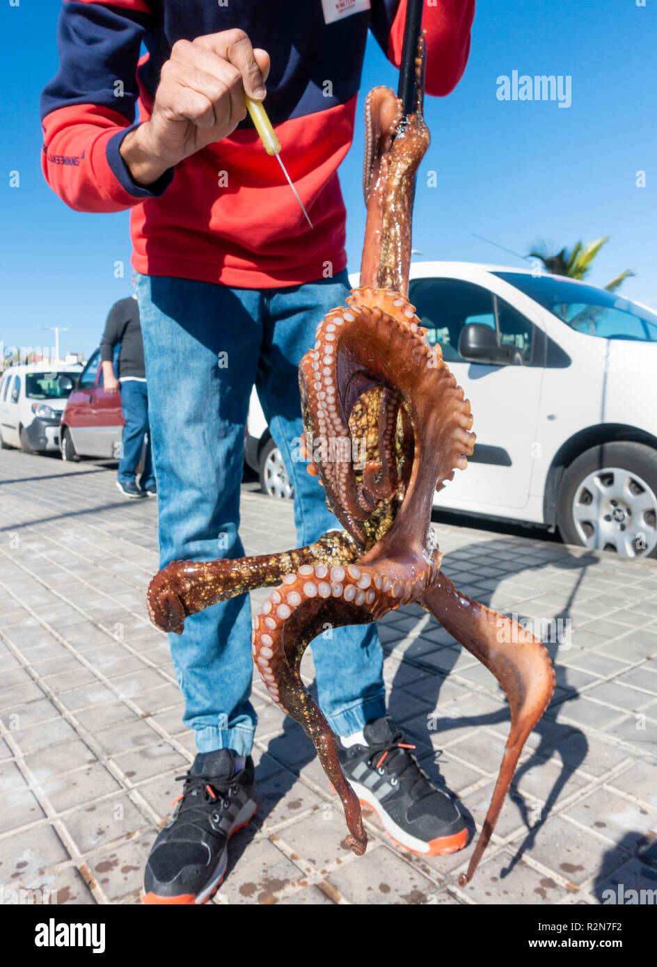 Las Palmas, Gran Canaria, Kanarische Inseln, Spanien. 20. November 2018. Wetter: Ein Tintenfisch Fischer nutzt die Vorteile der ruhigen Bedingungen nach einem Wochenende der riesigen Wellen, die die Kanarischen Inseln zerschlagen, was zu umfangreichen Schäden auf Teneriffa. Die lokalen Fischer fangen Octupus durch Sondierung zwischen Felsen mit einem Widerhaken. Credit: ALAN DAWSON/Alamy leben Nachrichten Stockfoto