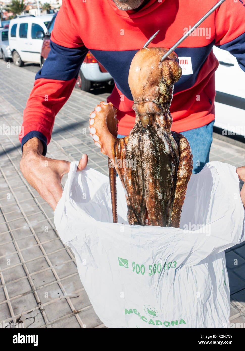 Las Palmas, Gran Canaria, Kanarische Inseln, Spanien. 20. November 2018. Wetter: Ein Tintenfisch Fischer nutzt die Vorteile der ruhigen Bedingungen nach einem Wochenende der riesigen Wellen, die die Kanarischen Inseln zerschlagen, was zu umfangreichen Schäden auf Teneriffa. Die lokalen Fischer fangen Octupus durch Sondierung zwischen Felsen mit einem Widerhaken. Credit: ALAN DAWSON/Alamy leben Nachrichten Stockfoto