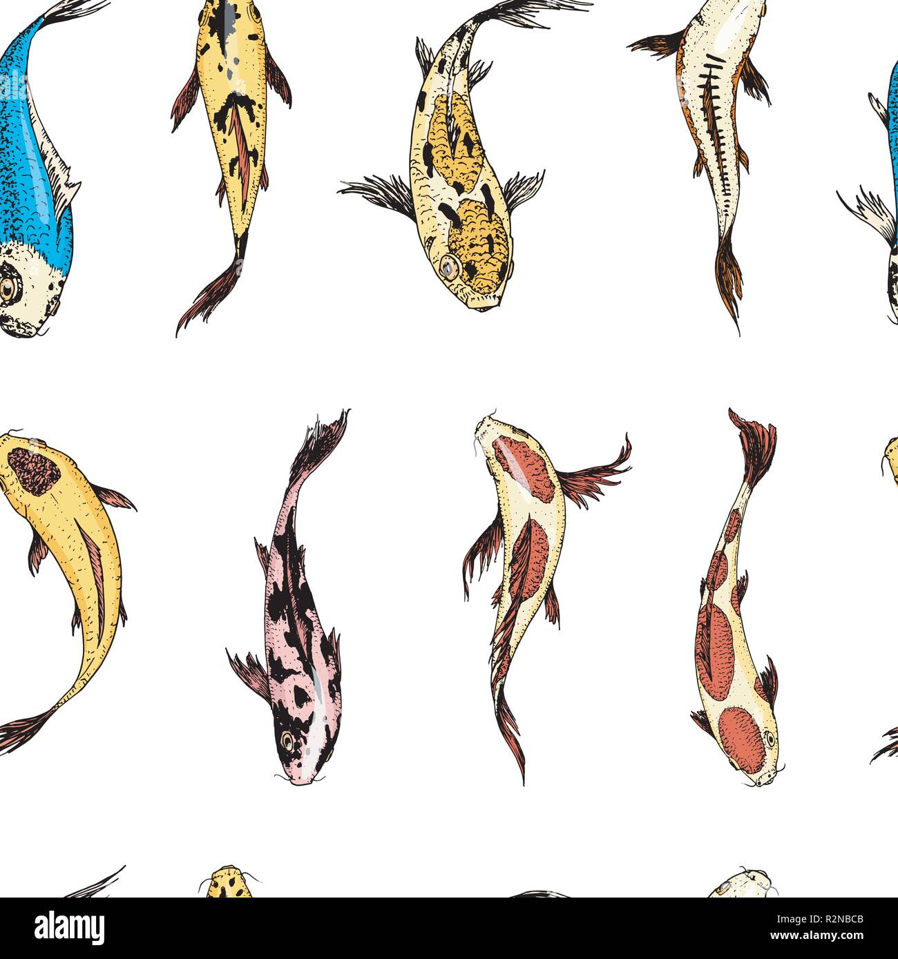 Koi Karpfen Nahtlose Muster Japanischen Fisch Koreanischen Tiere Gravur Von Hand Gezeichnete Linie Kunst Vintage Tattoo Monochrom Skizze Fur Das Label Stock Vektorgrafik Alamy