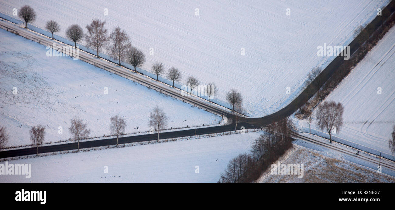 Luftaufnahme, Kreuzung, Abzweigung, Schnee, Lehmhegge, Olfen, Ruhrgebiet, Nordrhein-Westfalen, Deutschland, Europa, Stockfoto