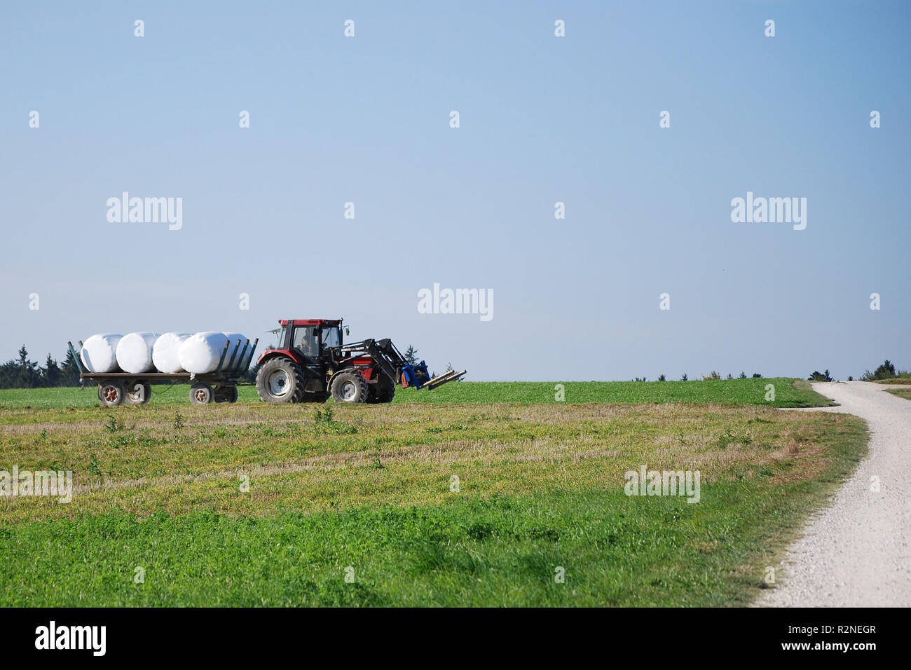 Während der Ernte einfahren Landwirt ll Stockfoto