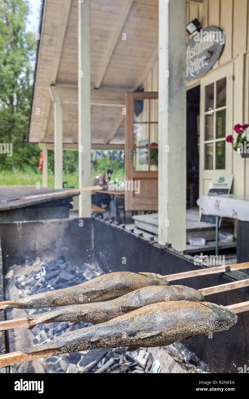 Steckerlfisch in der Fischerhütte Reiter in Osternach in Prien am Chiemsee,  Chiemgau, Oberbayern, Bayern, Süddeutschland, Deutschland, Europa  Stockfotografie - Alamy