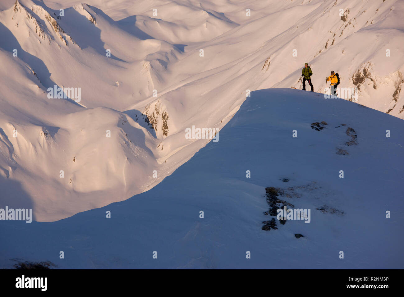 Skitour auf die Grüblspitze, Tuxer Alpen, Tirol, Österreich. Stockfoto