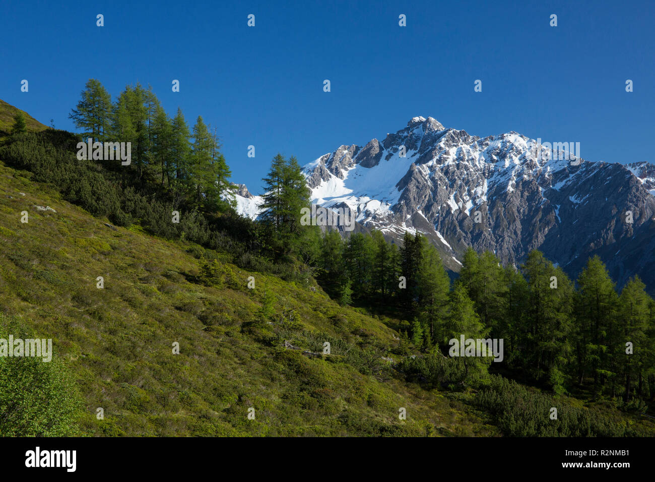 Sattelspitze Berg, Verwallgruppe, Tirol, Österreich Stockfoto