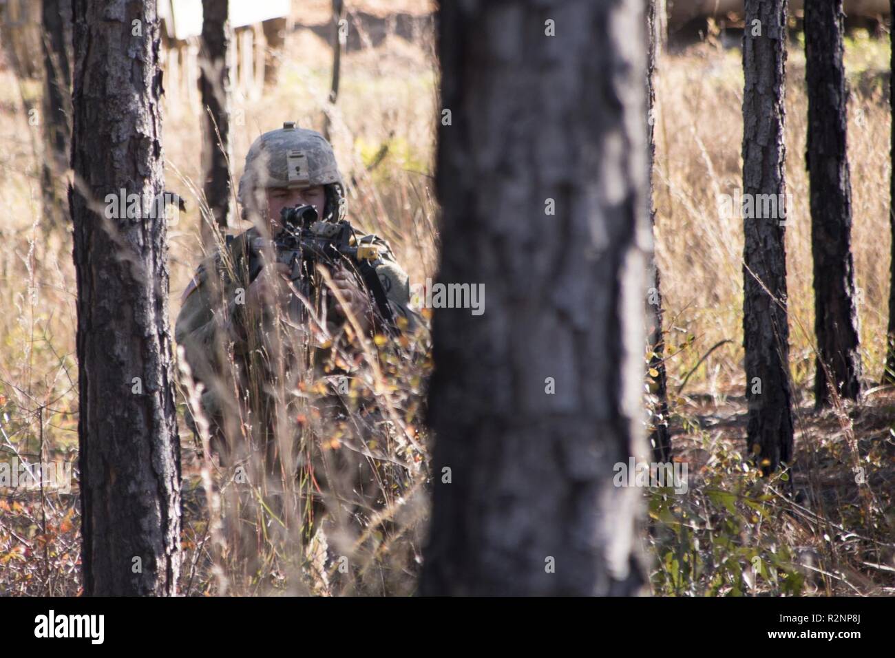 Südcarolina Army National Guard Soldaten vom 4. Battlion, 118 Regiment und 174 Ingenieur Gesellschaft kombinierten Waffen gegen die Übungen zu McCrady Training Center, der Eastover, S.C., Nov. 3, 2018. Die vierte Bataillon Infanterie Unternehmen praktiziert Angriff auf ein Ziel mit Unterstützung der 174 Ingenieur Mobilität Angriff platoons für Hindernis Reduzierung, Zerstörung und kurze-gap-Kreuzungen. Die kombinierten Kräften verletzt verdrahtet Hindernisse mit Hilfe simulierter M58 Mine Clearing Line (MICLIC) Raketen, gelöscht, Minenfelder, die mit einem M9 Armored Combat Earthmover (ACE) und einer Brücke über einen Stockfoto