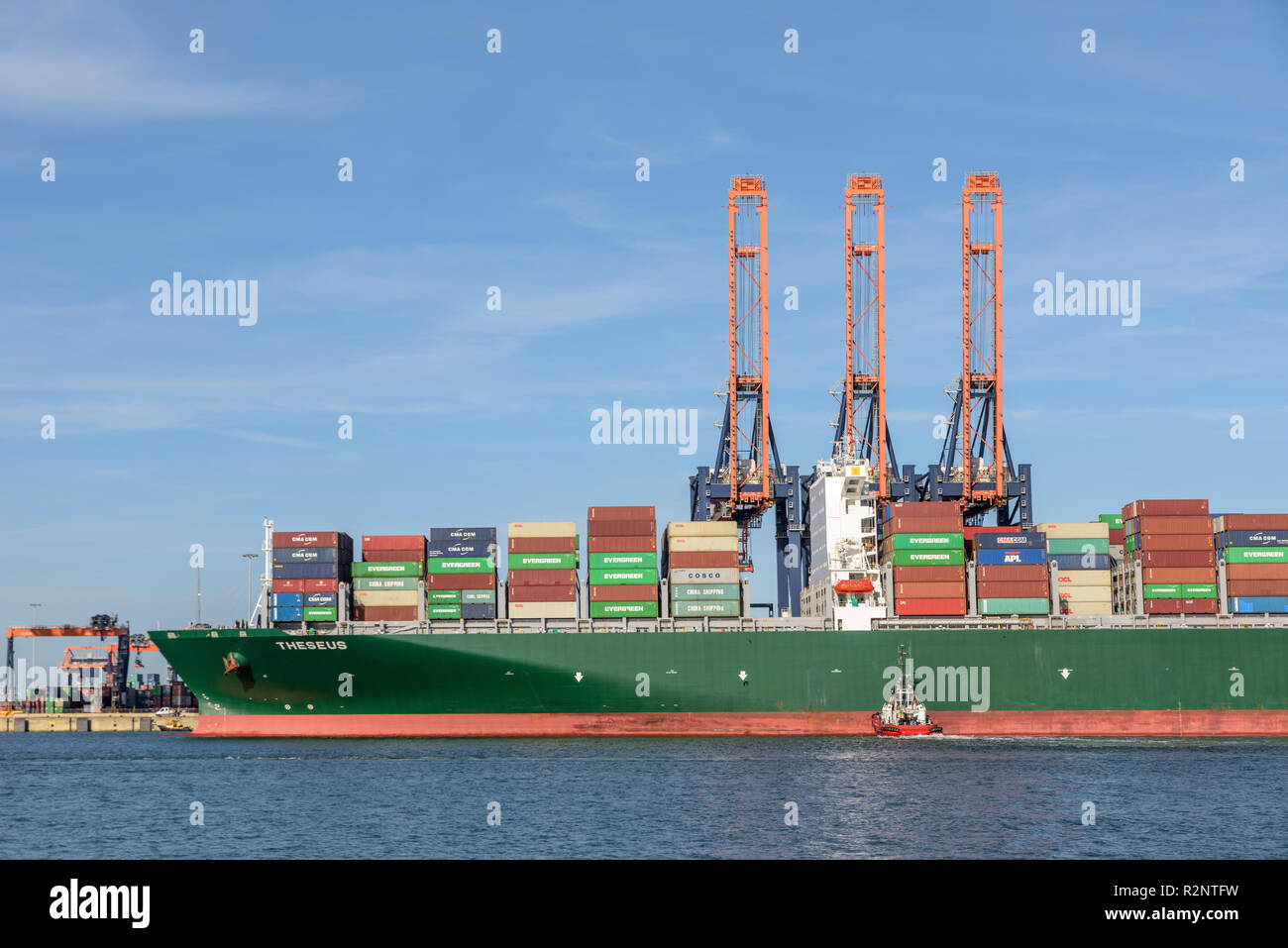 ROTTERDAM, Niederlande - 16. FEBRUAR 2018: Die großen Containerschiff Theseus Moores an der Euromax Terminal im Hafen von Rotterdam Maasvlakte, o Stockfoto