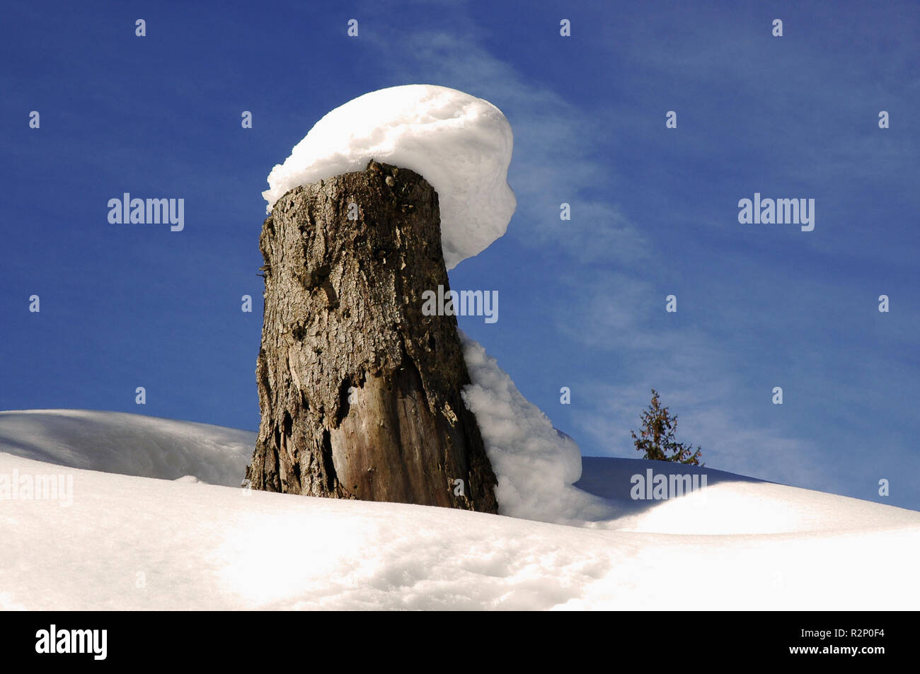 Schneekappe Stockfoto