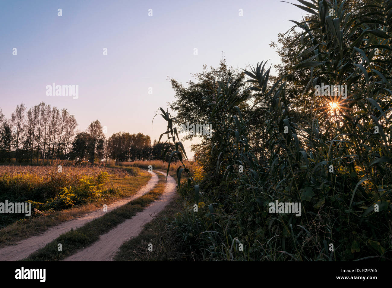 Land Feldweg in Lomellina bei Sonnenuntergang Stockfoto