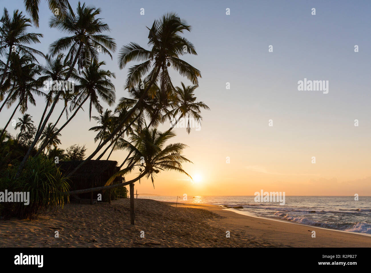 Sonnenaufgang auf dem Marakolliya Strand, von Palmen gesäumte, kein Volk Stockfoto