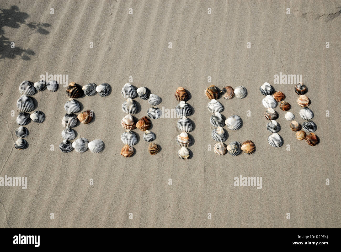 Wort Urlaub Muscheln am Strand Stockfoto