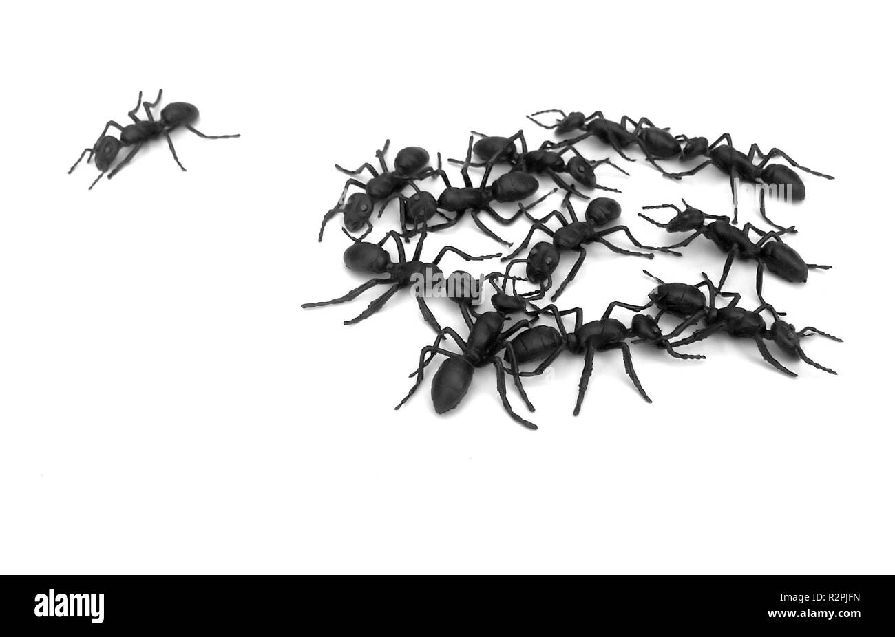 Außenseiter Stockfoto