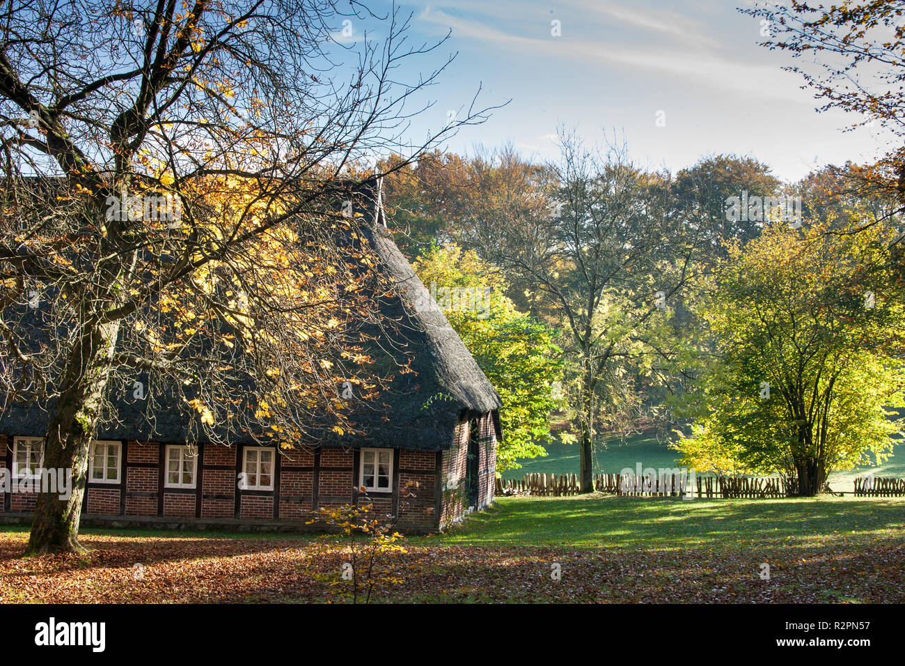 Reetgedeckte Bauernhaus in Wilsede, Lüneburger Heide Stockfoto