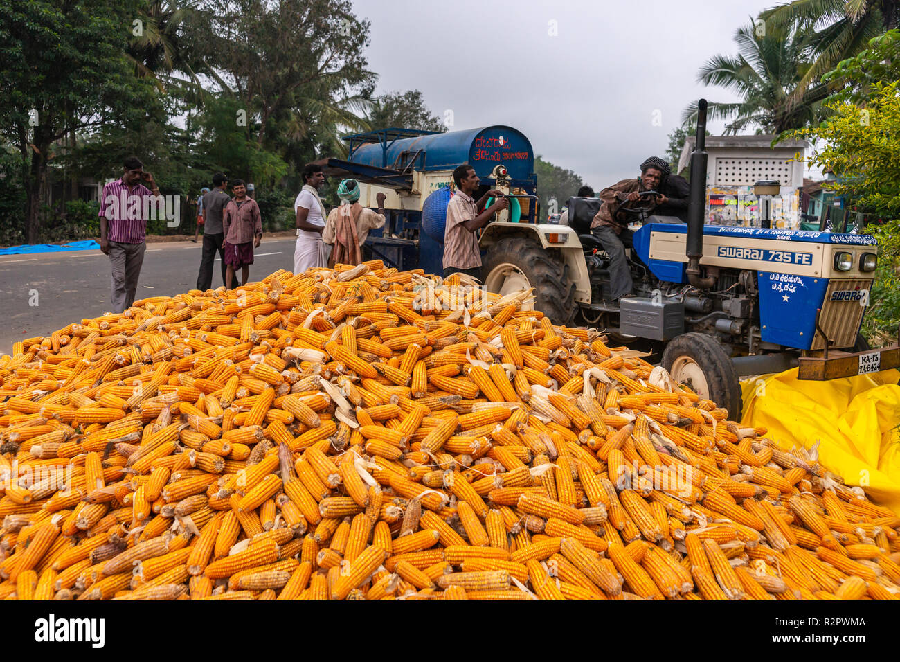 Angadihalli, Karnataka, Indien - November 2, 2013: Blau dreschmaschine am Traktor kommt hinter Haufen orange Maiskolben. Die Leute in der Straße sind watc Stockfoto