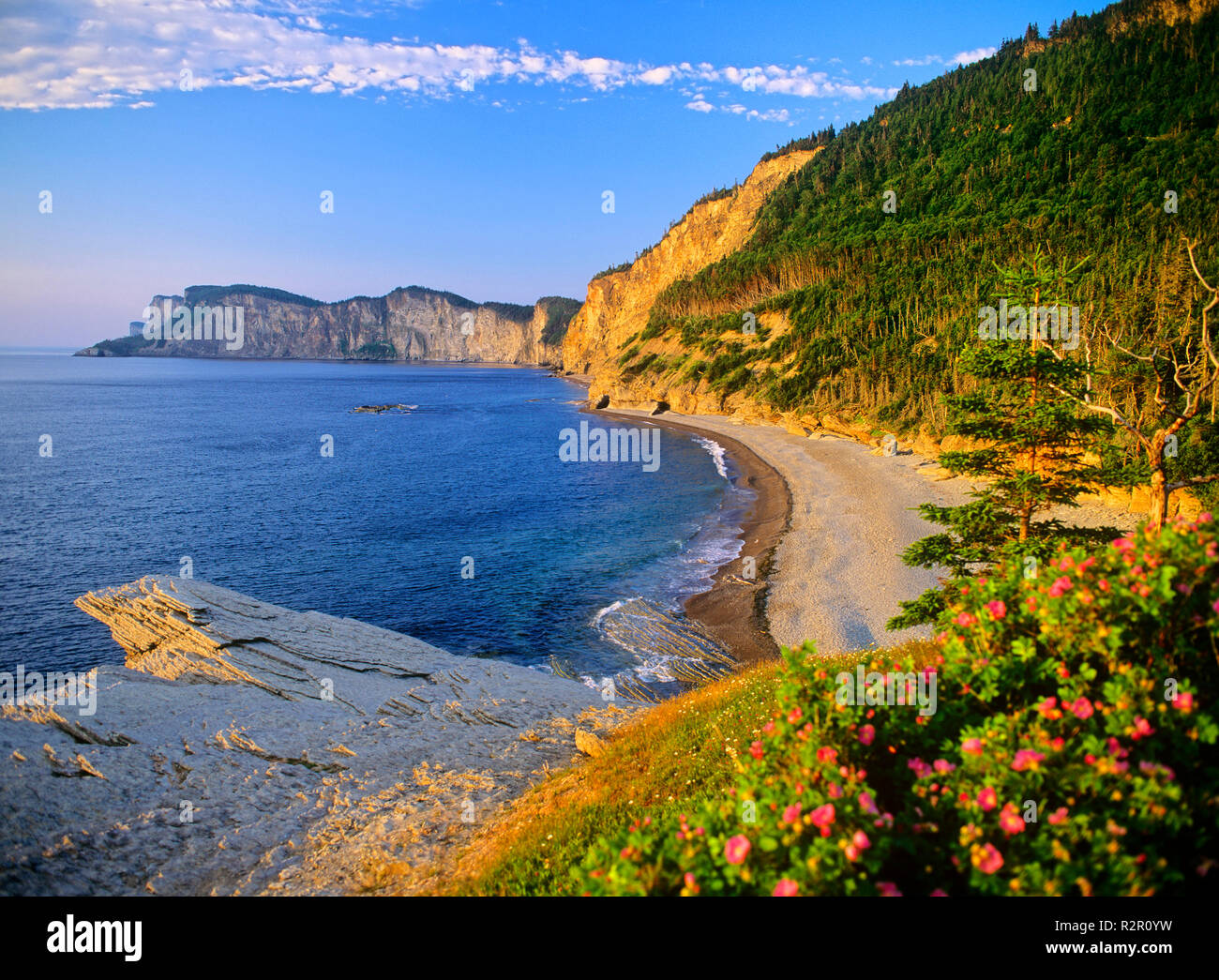 Nordamerika, Kanada, Quebec, Gaspe Halbinsel, Forillon National Park, cap-bon-Ami, Appalachian Berge Stockfoto