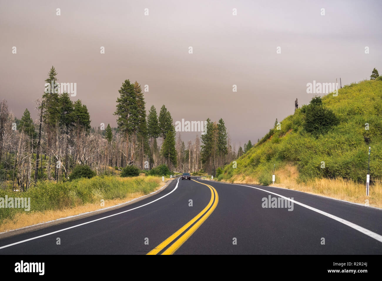 Fahrt durch den Yosemite National Park; gefiltertes Licht aufgrund der Rauchentwicklung aus Ferguson Brand für den Himmel, Kalifornien Stockfoto