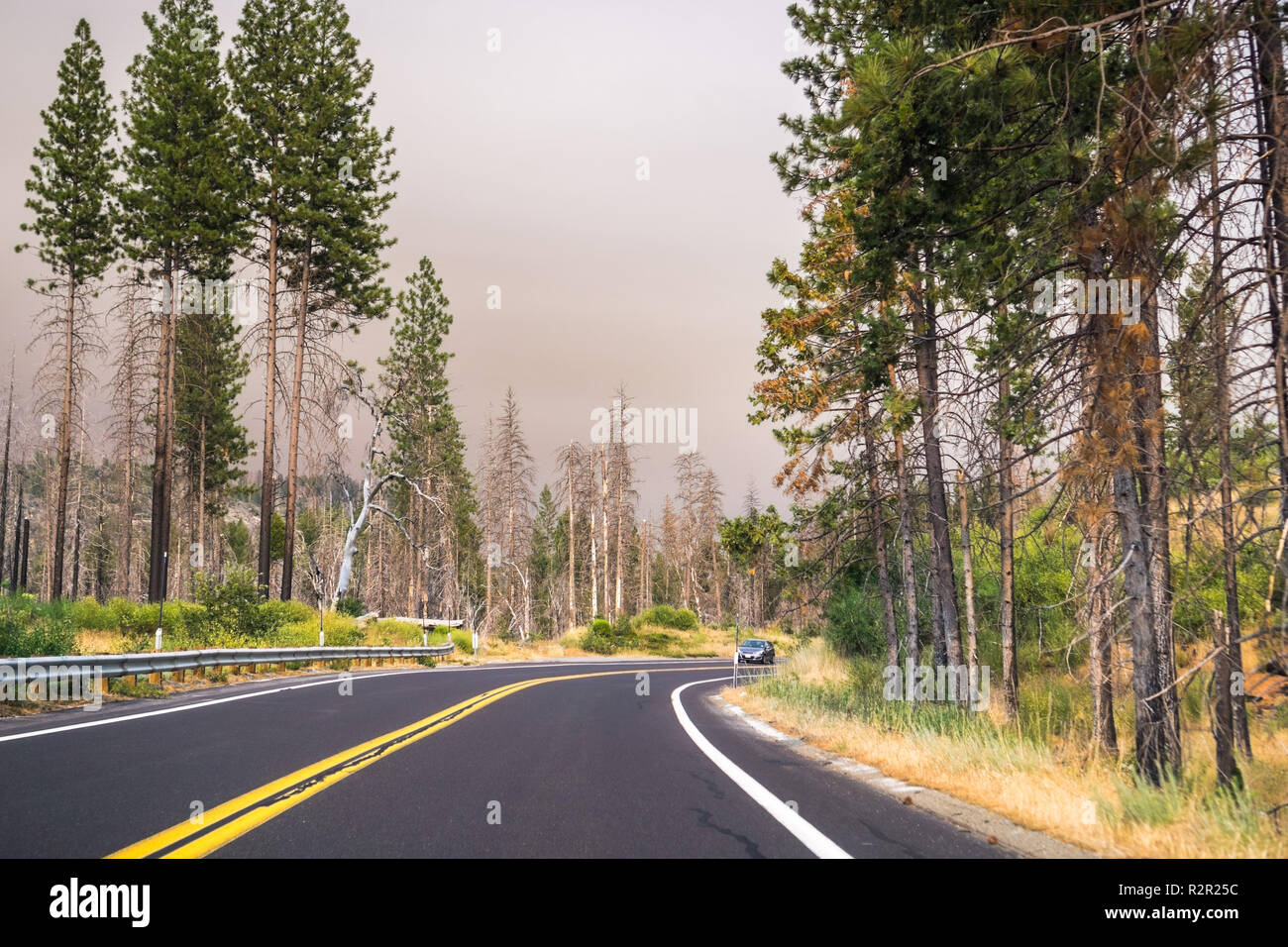 Fahrt durch den Yosemite National Park; gefiltertes Licht aufgrund der Rauchentwicklung aus Ferguson Brand für den Himmel, Kalifornien Stockfoto