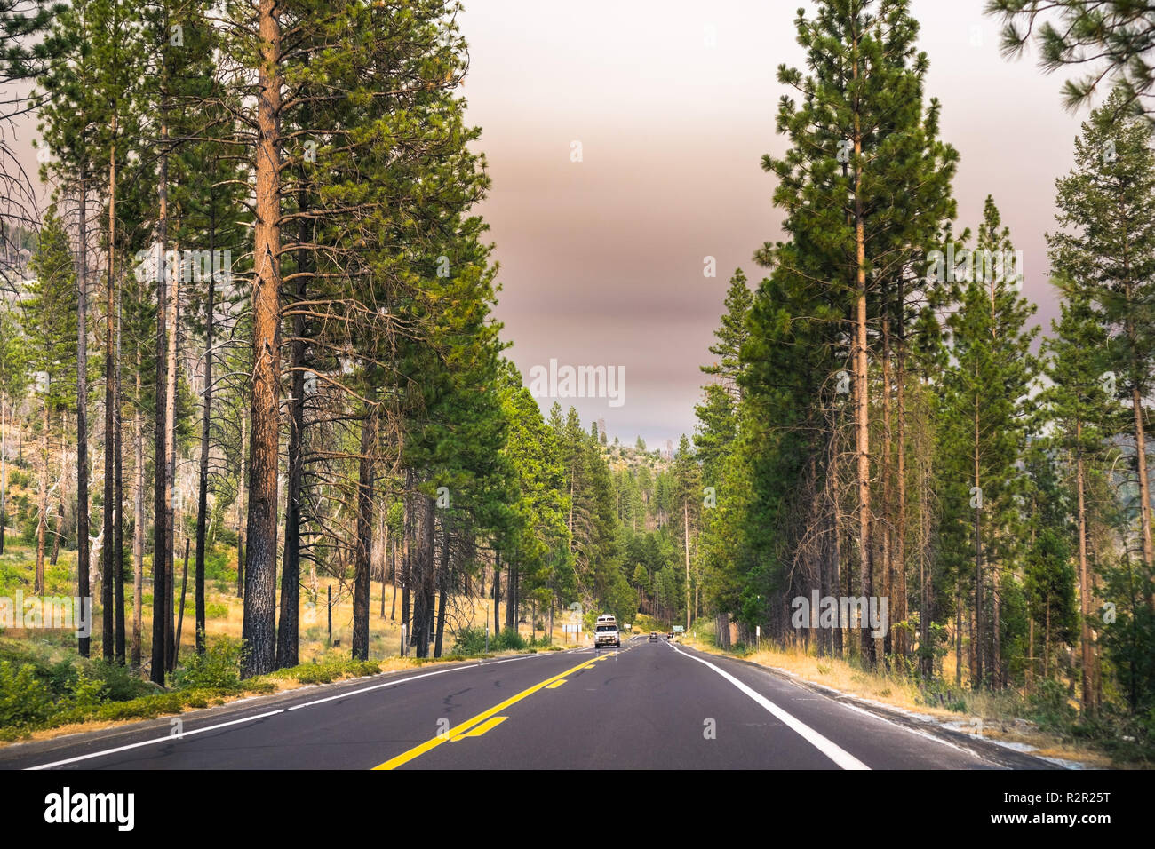 Fahrt durch den Yosemite National Park; gefiltertes Licht aufgrund der Rauchentwicklung aus Ferguson Brand für den Himmel, Kalifornien Stockfoto