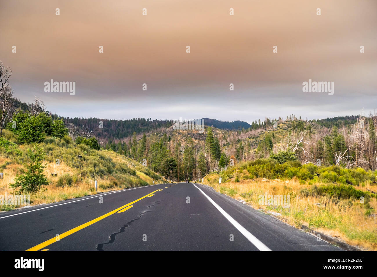 Fahrt durch den Yosemite National Park; Licht aufgrund der Rauchentwicklung aus Ferguson Brand für den Himmel gefiltert, Caifornia Stockfoto