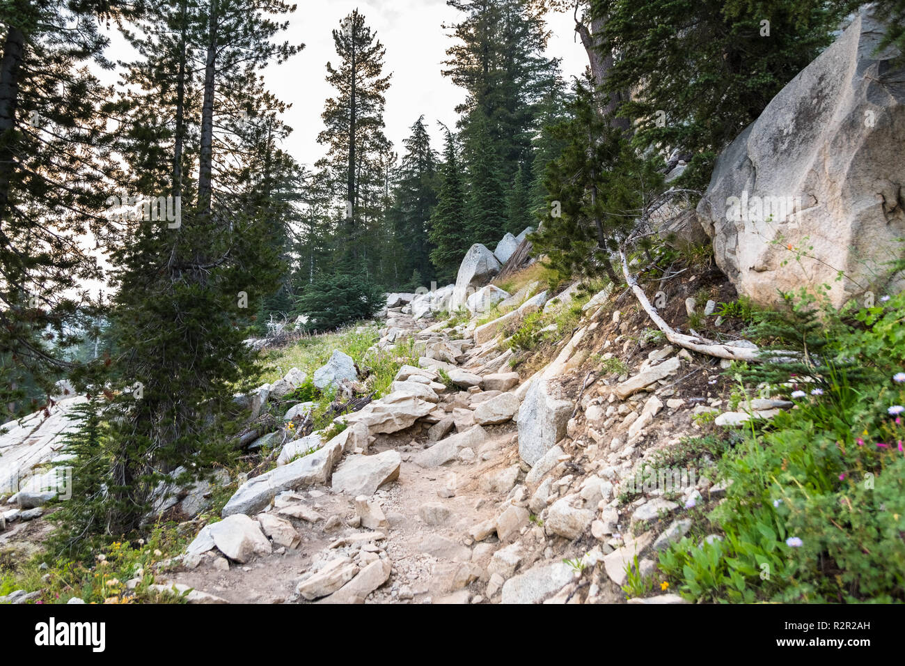 Rocky Wanderweg im Yosemite National Park, in den Bergen der Sierra Nevada, Kalifornien Stockfoto