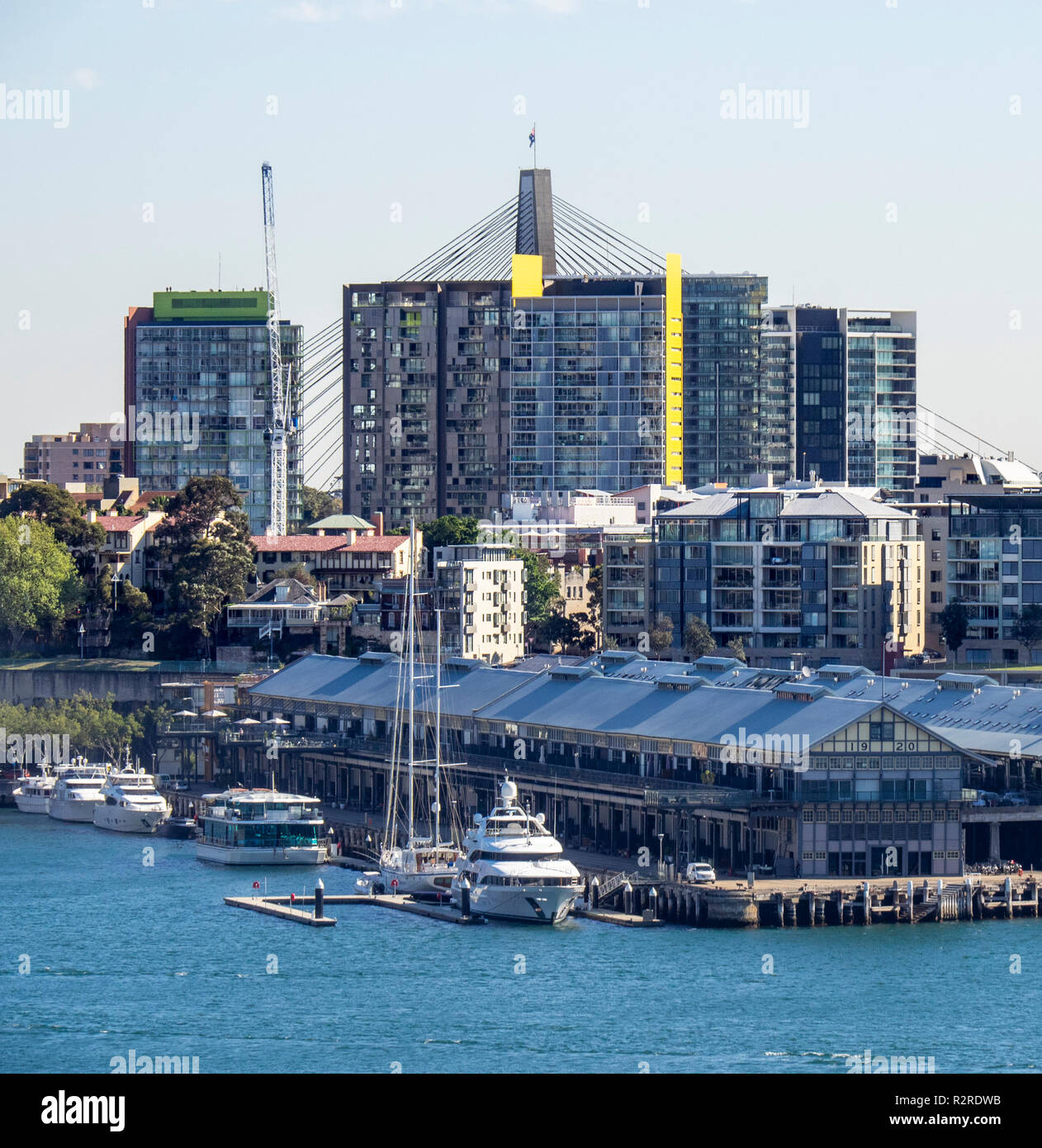 Hohes Wohntürme, sanierte Lagerhallen auf Jones Bay Wharf und das Anzac Bridge, Sydney, NSW, Australien. Stockfoto